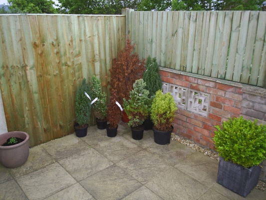 S4010054.JPG