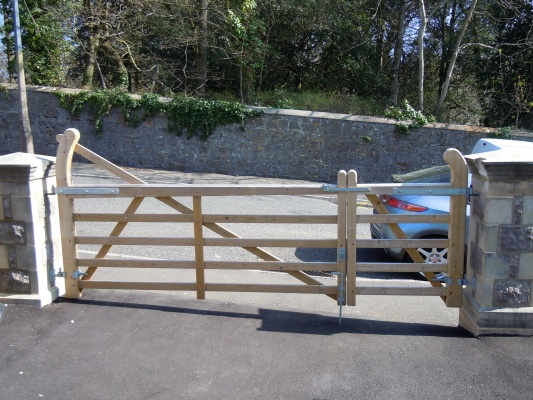 latest pics 123.JPG