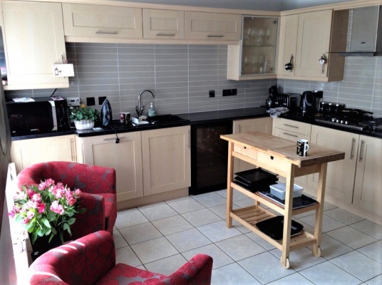 ellis adjustdesign-kitchen-2.jpg